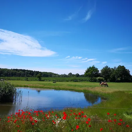 Ubytování v soukromí Kleine Mit Terrasse Und Gartenblick Gustow (Vorpommern-Rugen)