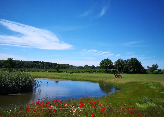Séjour chez l'habitant Kleine Mit Terrasse Und Gartenblick Gustow (Vorpommern-Rugen)